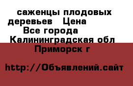 саженцы плодовых деревьев › Цена ­ 6 080 - Все города  »    . Калининградская обл.,Приморск г.